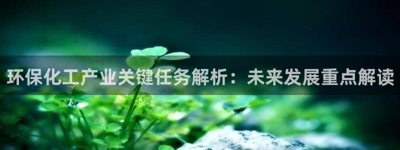 亿万网友在线实时为您解答问题：环保化工产业关键任务解析：未来发展重点解读