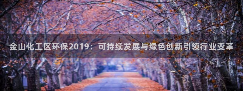 亿万先生网页版下载：金山化工区环保2019：可持续发展与绿色创新引领行业变革