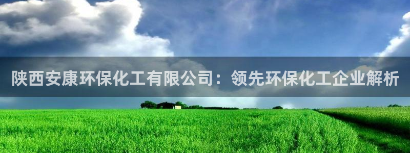 亿万 下载：陕西安康环保化工有限公司：领先环保化工企业解析