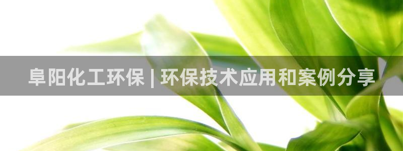 亿万首富游戏：阜阳化工环保 | 环保技术应用和案例分享