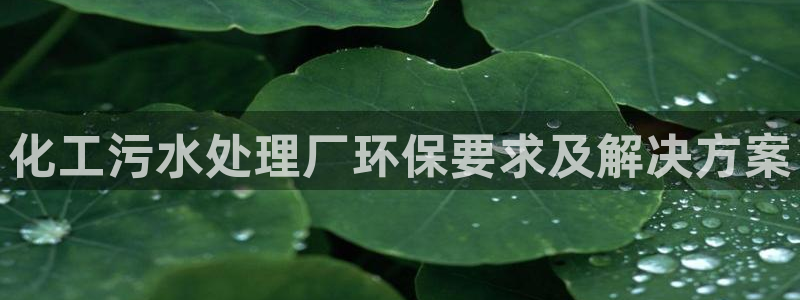 亿万先生手机版入：化工污水处理厂环保要求及解决方案