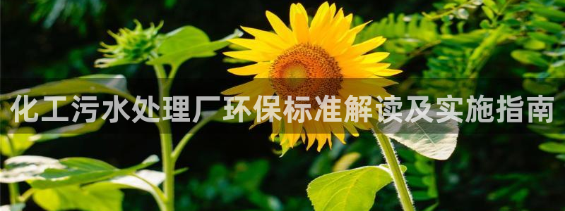 亿万先生客服联系：化工污水处理厂环保标准解读及实施指南