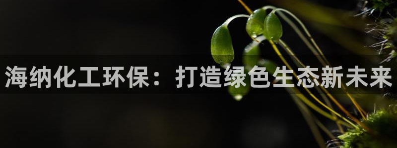 亿万手游官网首页：海纳化工环保：打造绿色生态新未来