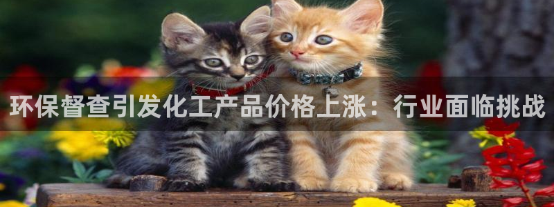 亿万网络：环保督查引发化工产品价格上涨：行业面临挑战