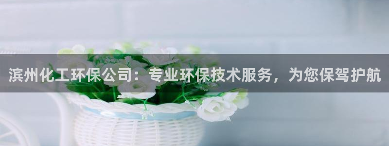 亿万国际合法吗：滨州化工环保公司：专业环保技术服务，为您保驾护航