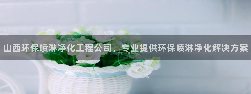 亿万先生手机版入口在哪：山西环保喷淋净化工程公司，专业提供环保喷淋净化解决方案