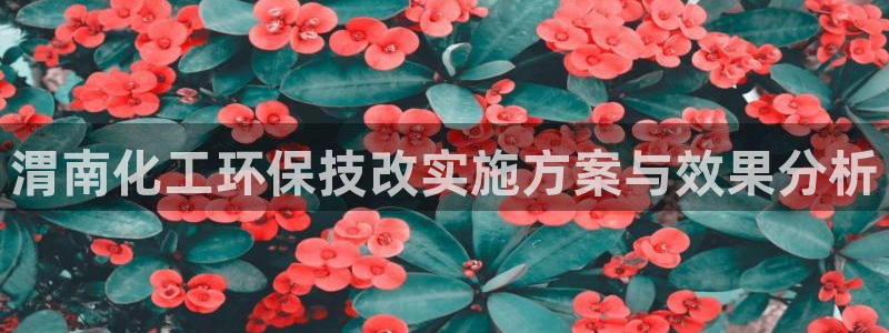 电影亿万：渭南化工环保技改实施方案与效果分析