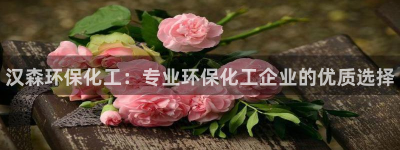 亿万先生游戏：汉森环保化工：专业环保化工企业的优质选择