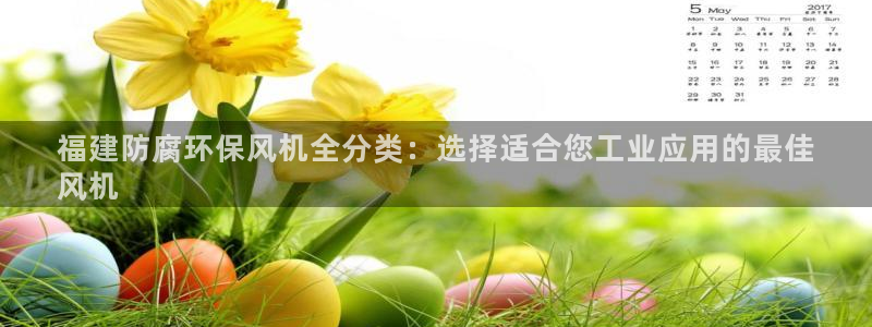 亿万先生首页：福建防腐环保风机全分类：选择适合您工业应用的最佳
风机