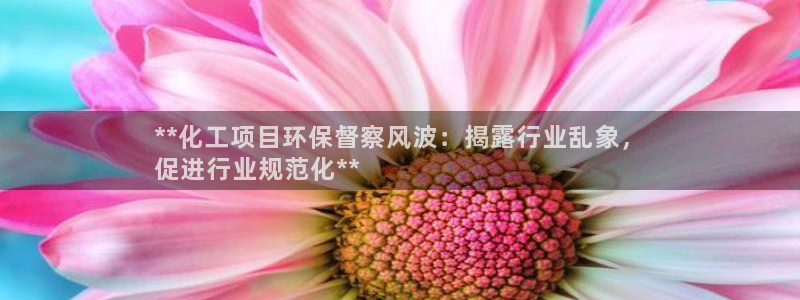 亿万手游平台官网入口：**化工项目环保督察风波：揭露行业乱象，
促进行业规范化**