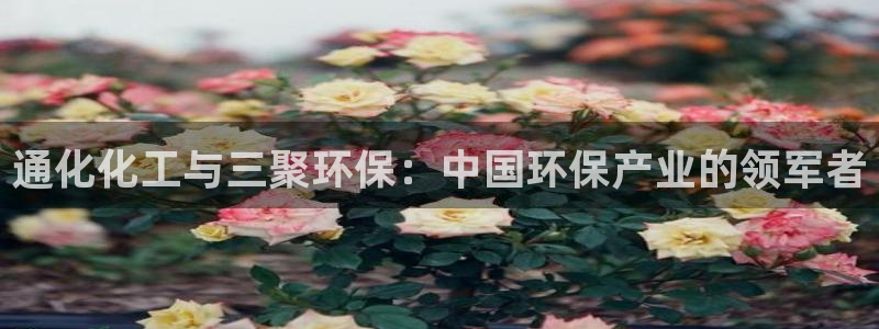 亿万首富手游兑换码：通化化工与三聚环保：中国环保产业的领军者