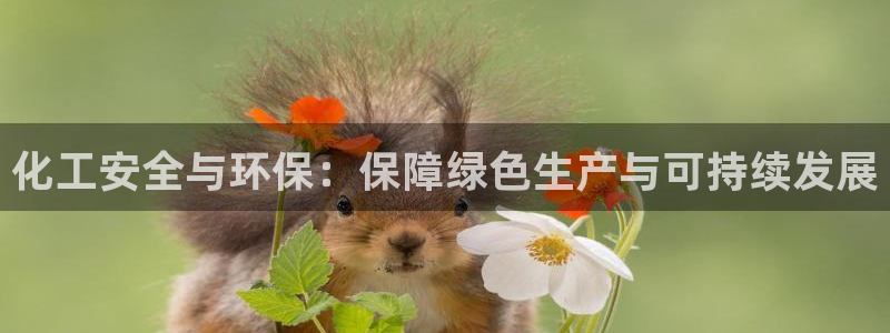 亿万先生客户端下载安装：化工安全与环保：保障绿色生产与可持续发展