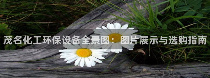 亿万先生官方网站下载手机版：茂名化工环保设备全景图：图片展示与选购指南
