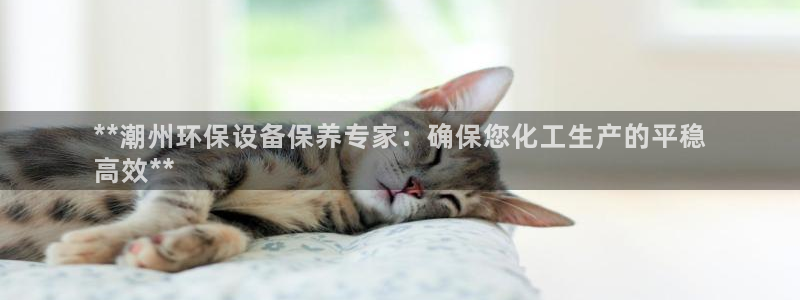 亿万下载第三季：**潮州环保设备保养专家：确保您化工生产的平稳
高效**