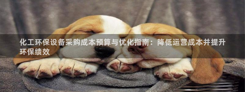 亿万万作者：化工环保设备采购成本预算与优化指南：降低运营成本并提升
环保绩效