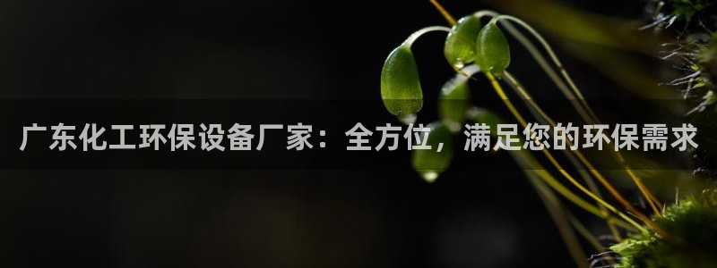 亿万讲什么：广东化工环保设备厂家：全方位，满足您的环保需求