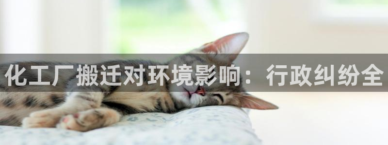 亿万先生网站下载：化工厂搬迁对环境影响：行政纠纷全