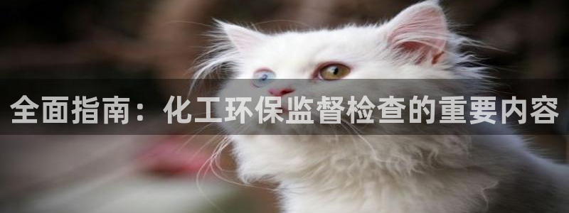 mr8001亿万先生在线存款