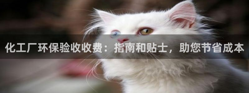 亿万先生用什么客户端：化工厂环保验收收费：指南和贴士，助您节省成本