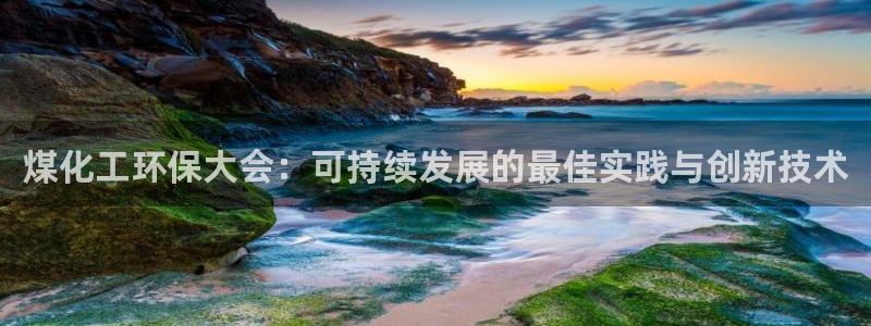 亿万先生现在的网址谁知道：煤化工环保大会：可持续发展的最佳实践与创新技术