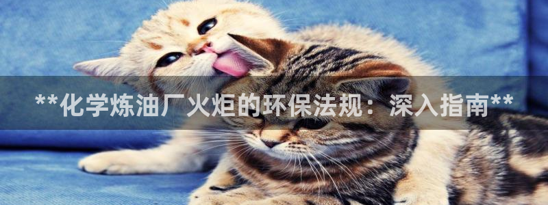 亿万客户端：**化学炼油厂火炬的环保法规：深入指南**