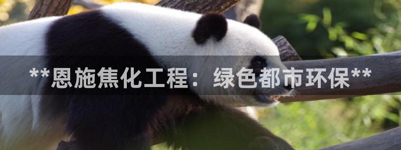 亿万先生客户端下载：**恩施焦化工程：绿色都市环保**