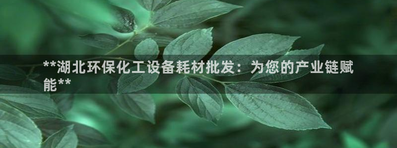 亿万剪辑：**湖北环保化工设备耗材批发：为您的产业链赋
能**