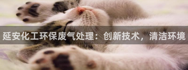 亿万先生手机版客户端下载安装：延安化工环保废气处理：创新技术，清洁环境