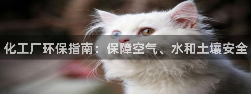 亿万 在线：化工厂环保指南：保障空气、水和土壤安全