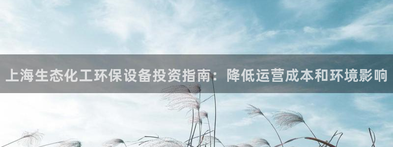 亿万先生007官网：上海生态化工环保设备投资指南：降低运营成本和环境影响