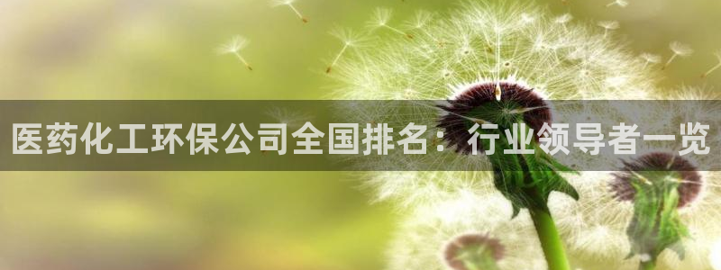 mr003亿万先生：医药化工环保公司全国排名：行业领导者一览