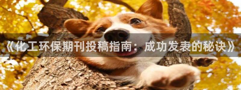 亿万先生 手机版下载安装：《化工环保期刊投稿指南：成功发表的秘诀》