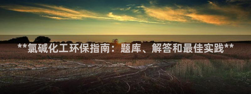 亿万先生官方网站：**氯碱化工环保指南：题库、解答和最佳实践**