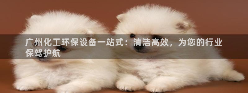 亿万先生客户端官网登录：广州化工环保设备一站式：清洁高效，为您的行业
保驾护航