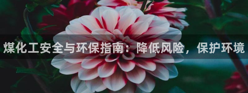 亿万下载：煤化工安全与环保指南：降低风险，保护环境