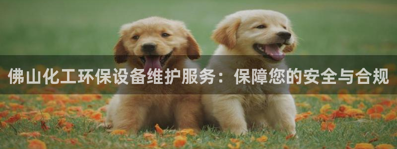 mr003亿万先生：佛山化工环保设备维护服务：保障您的安全与合规