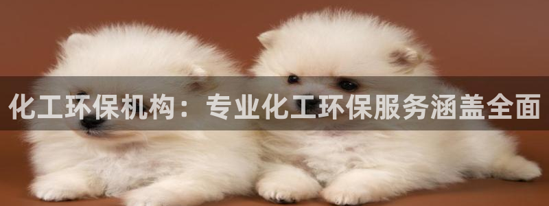 亿万先生手机客户端：化工环保机构：专业化工环保服务涵盖全面
