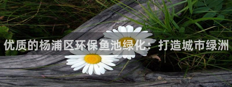 亿万国际平台是正规的吗安全吗：优质的杨浦区环保鱼池绿化：打造城市绿洲