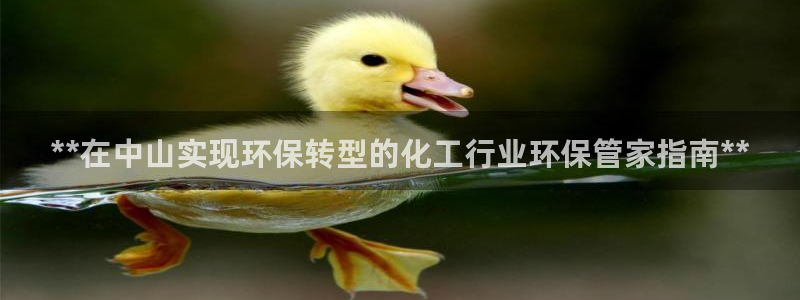 电影 亿万：**在中山实现环保转型的化工行业环保管家指南**