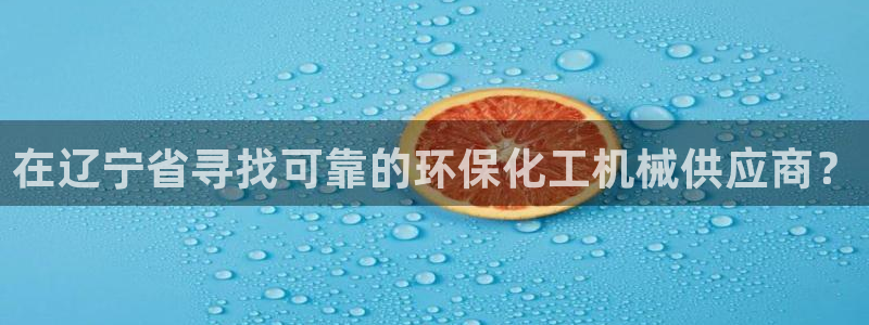亿万先生现在的网址谁知道：在辽宁省寻找可靠的环保化工机械供应商？