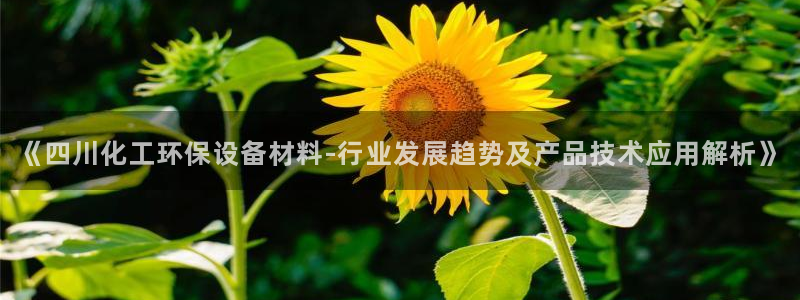 亿万官网手机登录：《四川化工环保设备材料-行业发展趋势及产品技术应用解析》