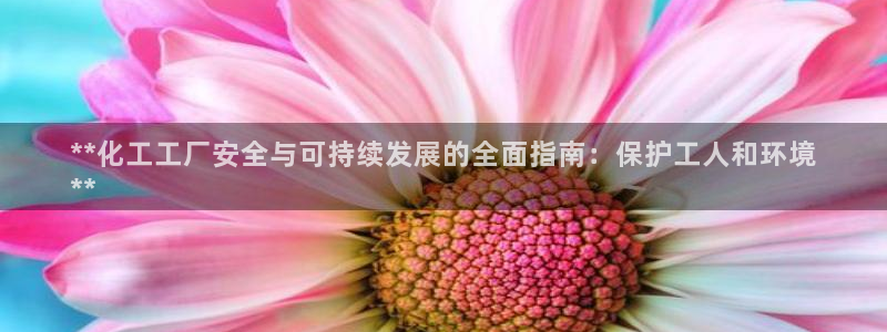 亿万先生mr008cc官网：**化工工厂安全与可持续发展的全面指南：保护工人和环境
**