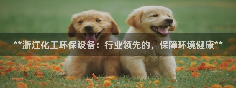 亿万先生mr008：**浙江化工环保设备：行业领先的，保障环境健康**