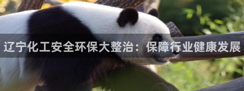 亿万网络科技有限公司ceo：辽宁化工安全环保大整治：保障行业健康发展