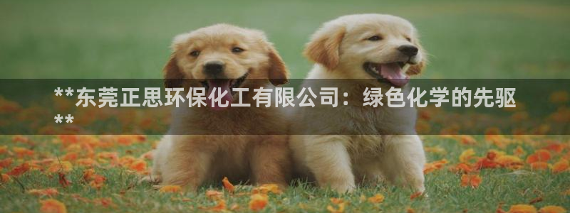 亿万先生现在的网址谁知道是真的：**东莞正思环保化工有限公司：绿色化学的先驱
**