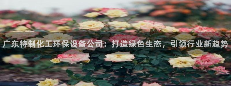 亿万先生手机客户端：广东特制化工环保设备公司：打造绿色生态，引领行业新趋势