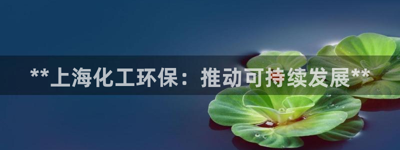 亿万网友在线实时为您解答：**上海化工环保：推动可持续发展**