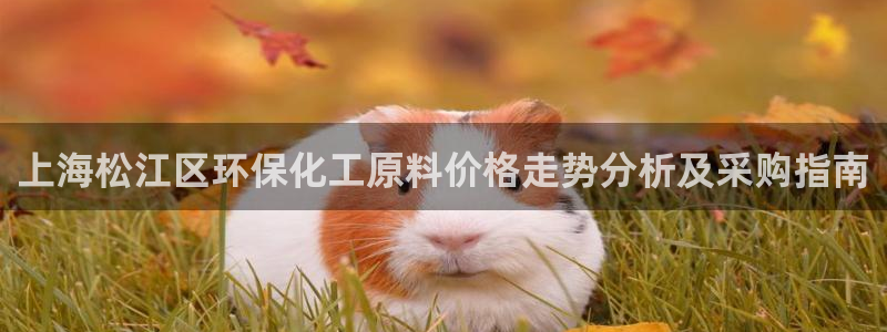 亿万先生客户端下载：上海松江区环保化工原料价格走势分析及采购指南