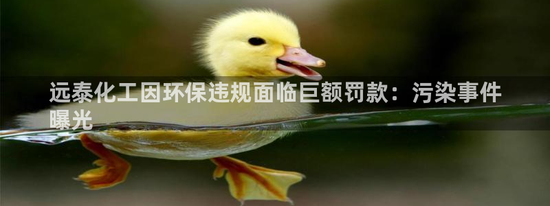 亿万先生mr008：远泰化工因环保违规面临巨额罚款：污染事件
曝光