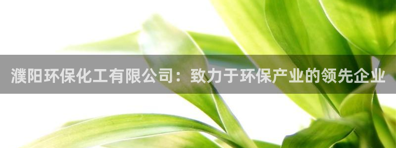 亿万先生手机版入口在哪看：濮阳环保化工有限公司：致力于环保产业的领先企业